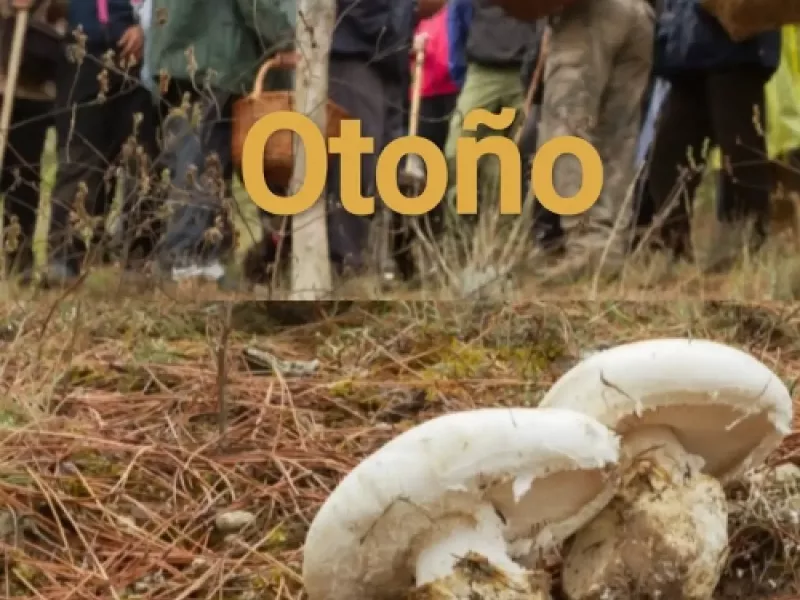 Invierno en la Finca El Moral en Santervas de la Vega