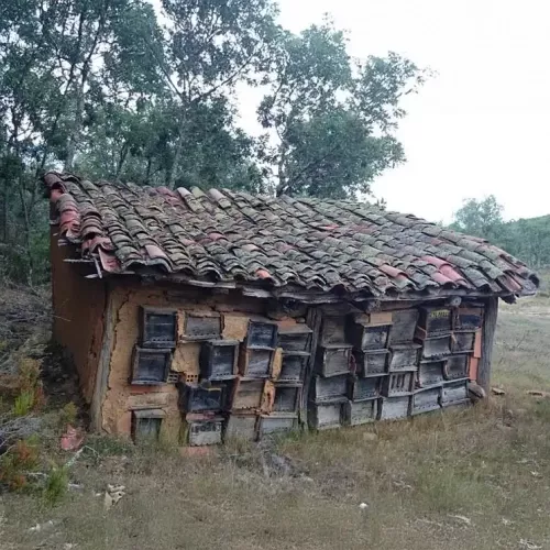 Reserva tu alojamiento en Palencia