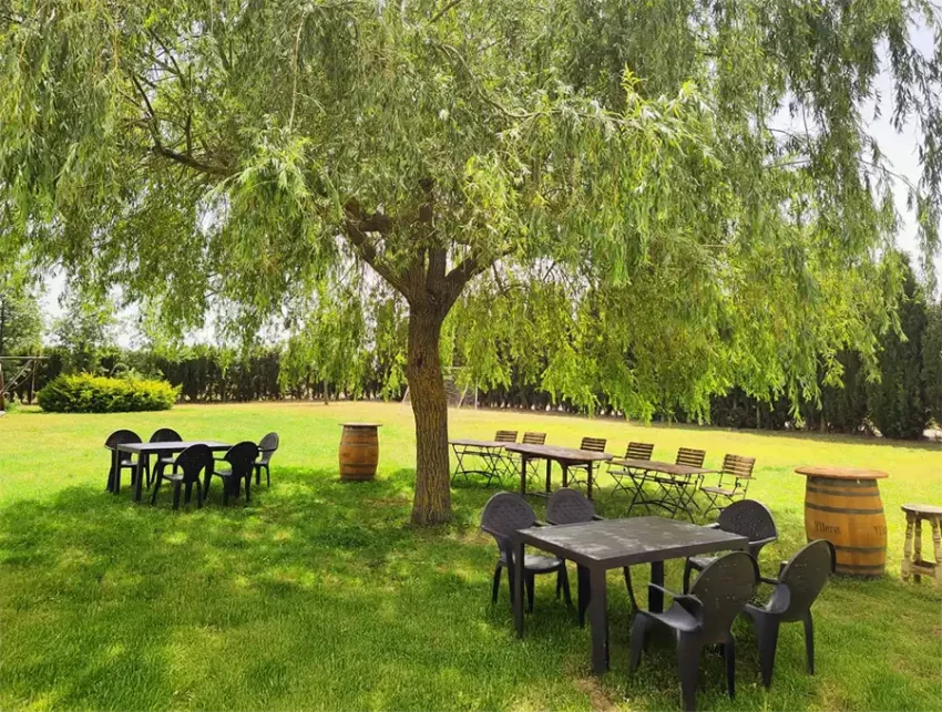 Celebra tu evento en Finca El Moral